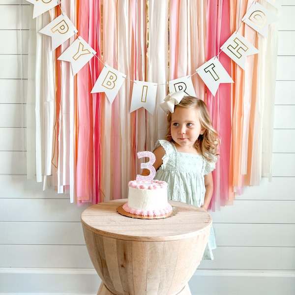 Birthday Party backdrop fringes/streamers/baby shower/bachelorette party