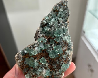 May include: A mineral specimen featuring clusters of translucent, light green cubic crystals embedded in a dark, textured, rust-colored matrix. The formation displays a jagged, irregular shape with numerous small, sharp-edged crystal faces.