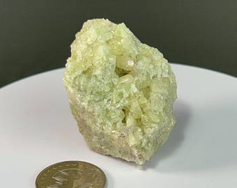 May include: A rough, light green crystal cluster with a crystalline structure. The mineral specimen is a pale yellow-green color and sits on a white surface. A coin is in the foreground for size comparison.