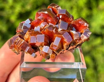 Vanadinite - Mibladen, Maroc - Mineral Collection
