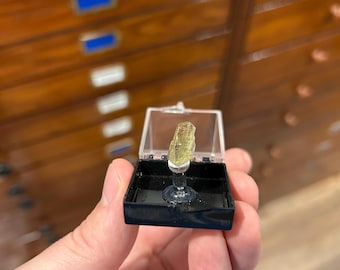 May include: A small, translucent, pale yellow crystal specimen is mounted on a clear plastic stand inside a black square display box with a hinged, transparent lid. The crystal features a faceted, elongated, and pointed shape.