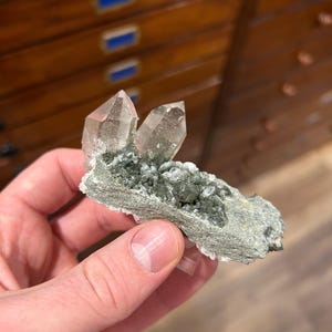 May include: A hand holding a cluster of clear quartz crystals with a green mineral base. The crystals are pointed and translucent, with a light green hue. The base is a rough, textured, gray-green colour.