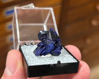 May include: A deep blue azurite mineral specimen displayed in a small, clear-topped case with a black base. The mineral has a crystalline structure and sits on a bed of white material. The case is held in a person's hand.