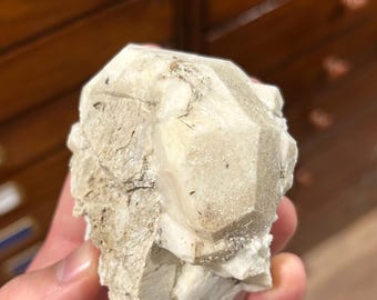 May include: A raw, off-white crystal cluster with a prominent, faceted central formation. The crystal has a rough, textured surface with areas of light brown and gray. The mineral is held in a hand, showcasing its natural, unpolished state.