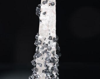 May include: A tall, translucent white quartz crystal point standing vertically on a clear square acrylic base. The crystal is adorned with numerous small, metallic dark gray hematite rosettes clustered along its sides and edges.