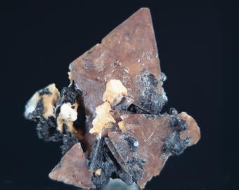 May include: A raw mineral specimen featuring sharp, triangular brown crystals clustered with dark, textured black inclusions and small patches of off-white material. The structure displays a geometric, multi-faceted formation with earthy tones.