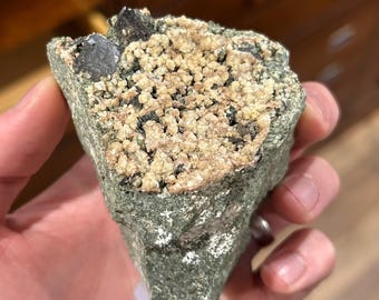 May include: A rough-hewn, triangular rock sample with a dark green base and a tan, granular top. Two dark, crystalline formations are embedded in the rock. The sample is held in a hand, suggesting a geological or mineral specimen.
