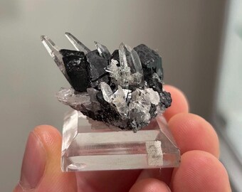 May include: A mineral specimen featuring a cluster of sharp, translucent quartz crystals intergrown with opaque, black, blocky crystals. The mineral formation is mounted on a clear, square acrylic base, showcasing a high-contrast texture.