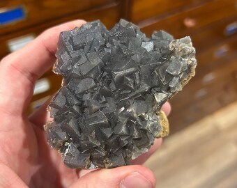 May include: A dark gray fluorite crystal cluster with cubic formations. The mineral specimen is held in a hand, showcasing its geometric structure and natural color variations. The background features wooden cabinetry.