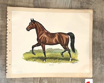 Vintage Horse Print by Ole Larsen (Set 1)