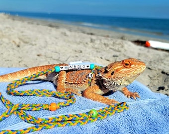 Paracord bearded dragon leash deals