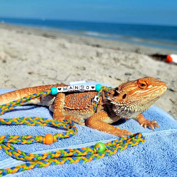 Bearded Dragons Harness/ Leash