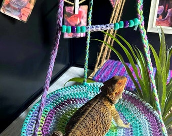 Bearded Dragon Swing