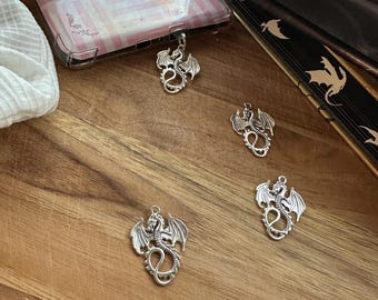 Dragon Fantasy Spicy Ereader Kindle Charms Dust Plugs Sweet and Spicy Reader Gifts Accessories