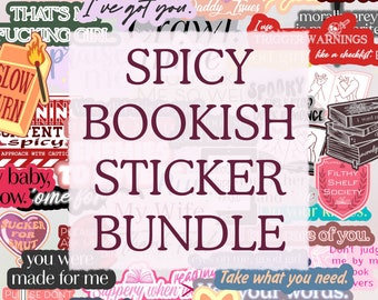 YOU CHOOSE Holographic Spicy Kindle Sticker BUNDLE