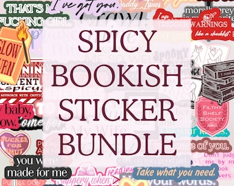 YOU CHOOSE Holographic Spicy Kindle Sticker BUNDLE
