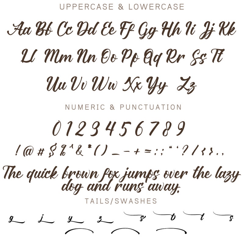 Princess Ryanti Font-Handlettered Font, Font scritto a mano Code Calligrafia Font Script Font Cricut Procreate Canva Matrimonio Uso commerciale immagine 9