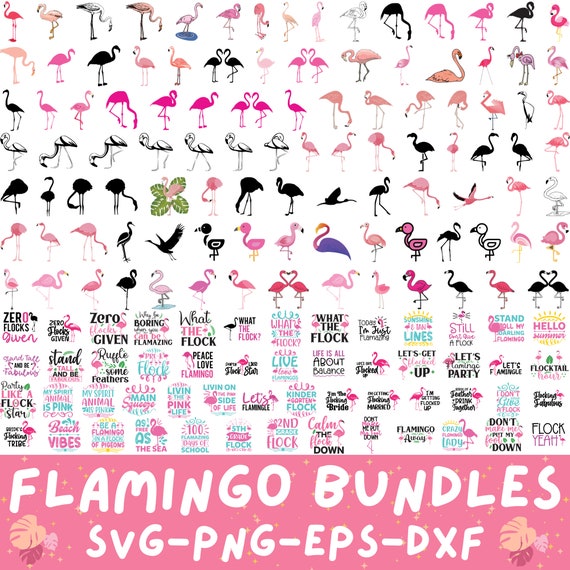 Flamingo SVG Bundle 150 Designs, Flamingo Cliparts, Flamingo Silhouette, Flamingo Shadow Pink Flamingo svg png, digital downloads, cut files