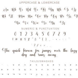 Aurelya Font Handwritten Script Font, Cricut Fonts, Calligraphy, Modern Font, Fonts for Cricut, Cursive Font, Procreate Font, Wedding font zdjęcie 8