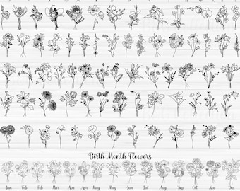 Birth Month Flowers Svg Png, Birthday Flower Svg, wildflowers flower Flowers Bouquet svg png bundle flowers svg png hand drawn floral svg