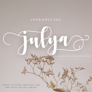 Julya Font - Handwritten Signature with tails Script Font, Cursive Font, Cricut Font, Fonts for Cricut Procreate Font Modern Font swash font