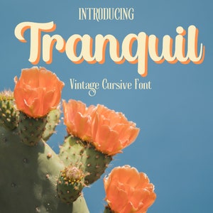 Tranquil Font - Vintage Style Font, Serif Font, Boho Font, Branding Font, Swash Font, Fonts for Cricut, Bohemian Fonts, Cursive font