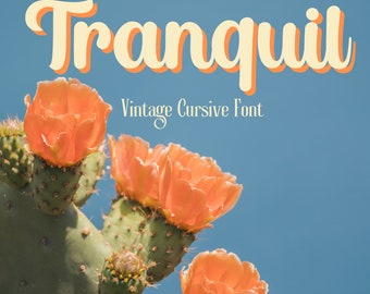 Tranquil Font - Vintage Style Font, Serif Font, Boho Font, Branding Font, Swash Font, Fonts for Cricut, Bohemian Fonts, Cursive font