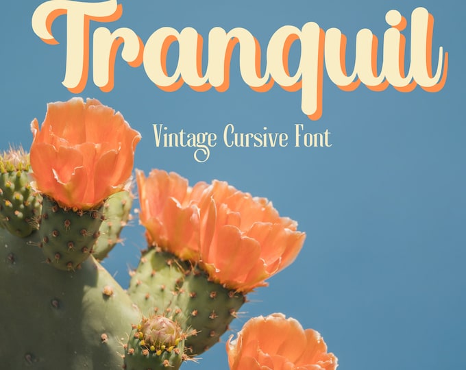 Tranquil Font - Vintage Style Font, Serif Font, Boho Font, Branding Font, Swash Font, Fonts for Cricut, Bohemian Fonts, Cursive font