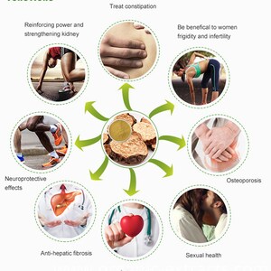 START PACK: 2 x Cistanche Capsules 500mg high quality vegetarian natural extract. image 4