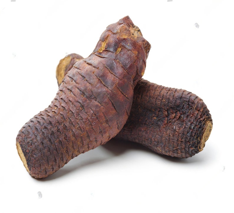 May include: Two dried brown root vegetables with a textured surface.