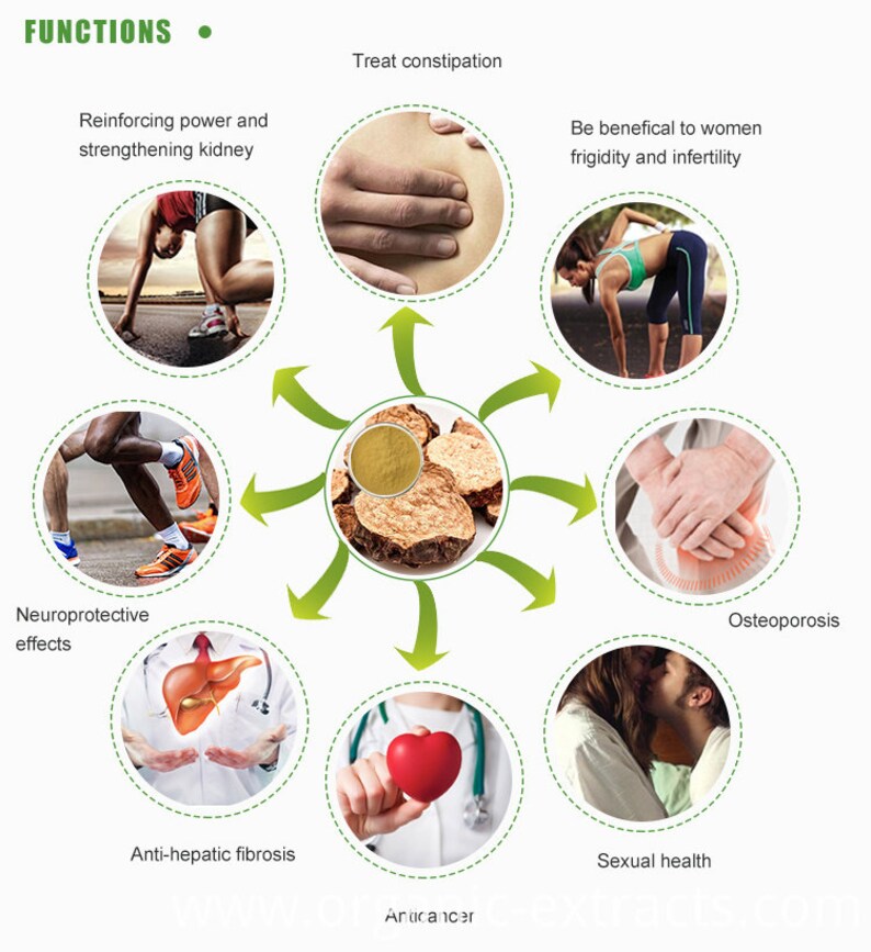 PRO PACK: 3 x Cistanche Capsules 500mg high quality vegetarian natural extract. image 4