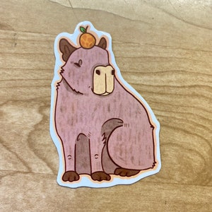 Capybara sticker, capybara, cute animal stickers, vinyl animal decals for laptops, water bottles & journals
