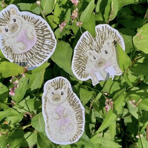 Hedgehog sticker, hedgehog, cute animal stickers, hedgehog stickers, set of 3