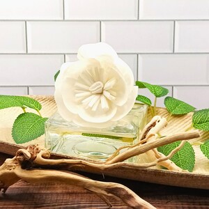 May include: A white ceramic flower diffuser sits in a clear glass bottle on a wooden tray with green leaves and driftwood.