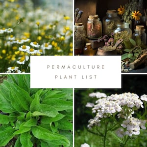 Permaculture Plant List
