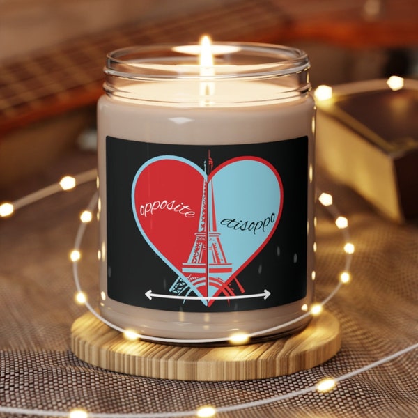 Sabrina Carpenter 'Opposite' Themed Scented Soy Candle, Emails I Can't Send Inspired Candle, EICS Era Candle