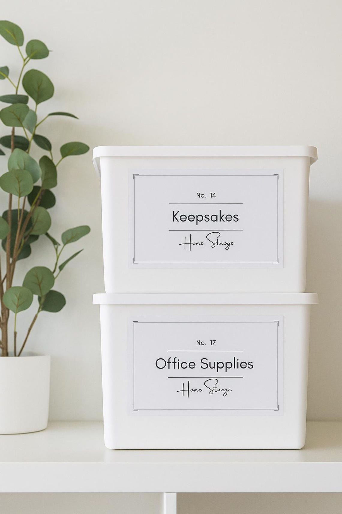 Storage Labels: Custom Organization Label Template (digital Download ...