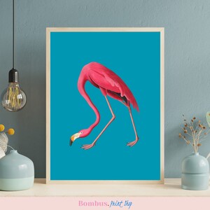 John James Audubon flamingo on bold teal background, flamingo artwork digital download, dopamine decor