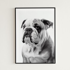 CUTE BULLDOG photo download, Bulldog Art, Bulldog Print, Printable Bulldog Poster, Bulldog Decor, Animals, Beautiful Bulldog