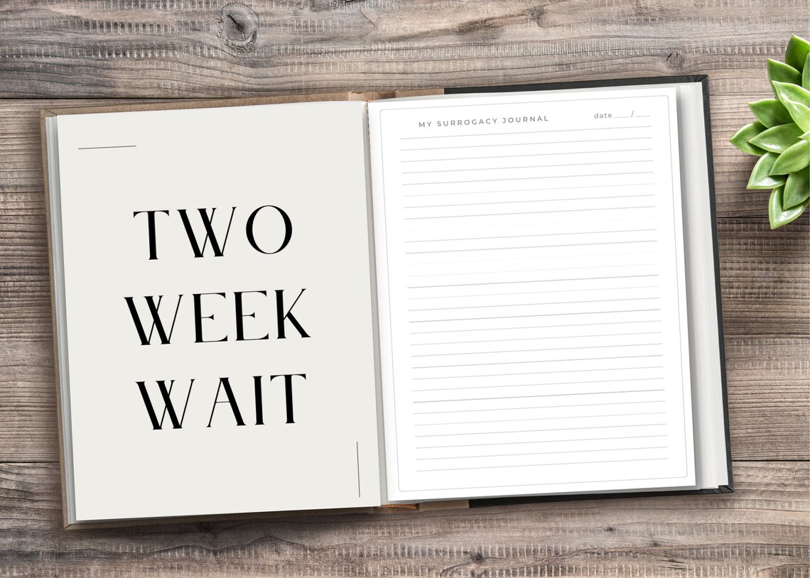 IVF Surrogate Journal, Digital IVF Diary, Journal, Ttc Notebook, 2023 ...