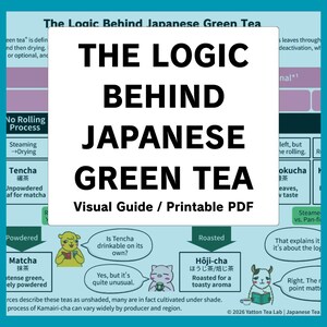 Logiken bakom japanskt grönt te ーVisuell guide