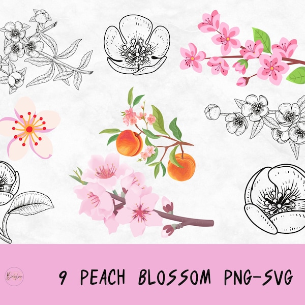 Peach blossom svg, Floral set clipart,  Blossom png, Botanical clipart, Peach flower svg, Pink flower png, Spring blooms