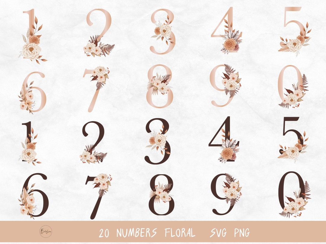 Rose Floral Numbers Svg, Floral Number Svg Files for Silhouette, Flower