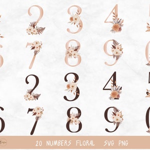 Rose Floral Numbers svg, Floral number svg files for silhouette, Flower Monogram Frame number, Monogram svg, Cut File for Cricut,Numbers svg