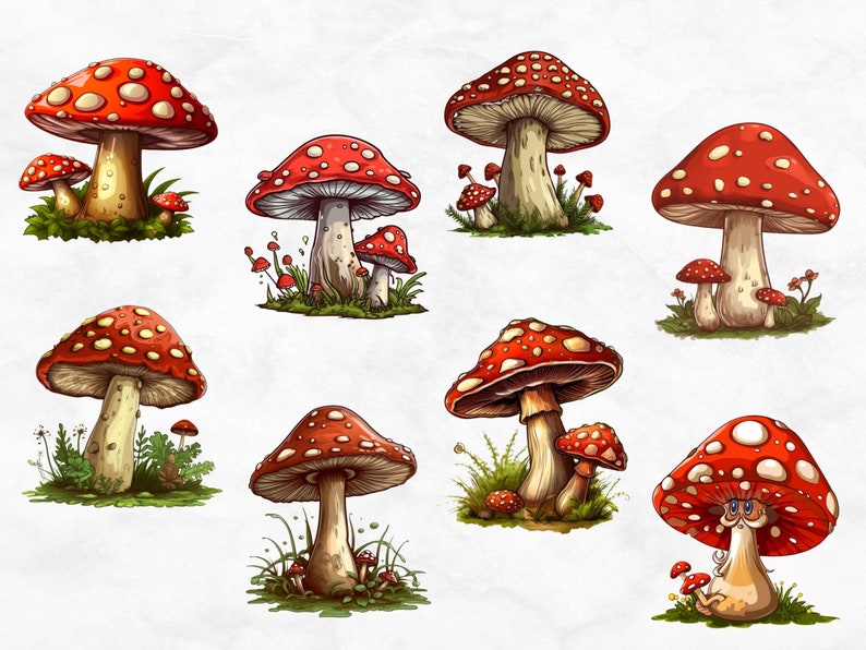 Floral mushroom svg bundle, Cute mushroom svg, Magic forest png, Fungus clip art design, Watercolor fungus clip art image 5