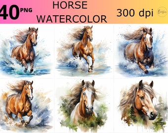 Pferd Clipart Bundle, Aquarell Pferd Clipart, Pferd Png Set, Equestrian png, Aquarell Pferde Designs, Western Animal png