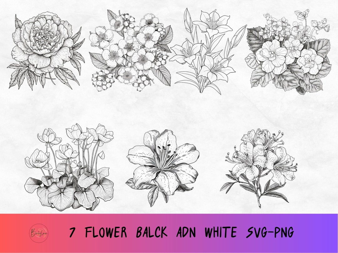 Black White Flower Svg, Flower Design Set Clipart, Romantic Floral Png