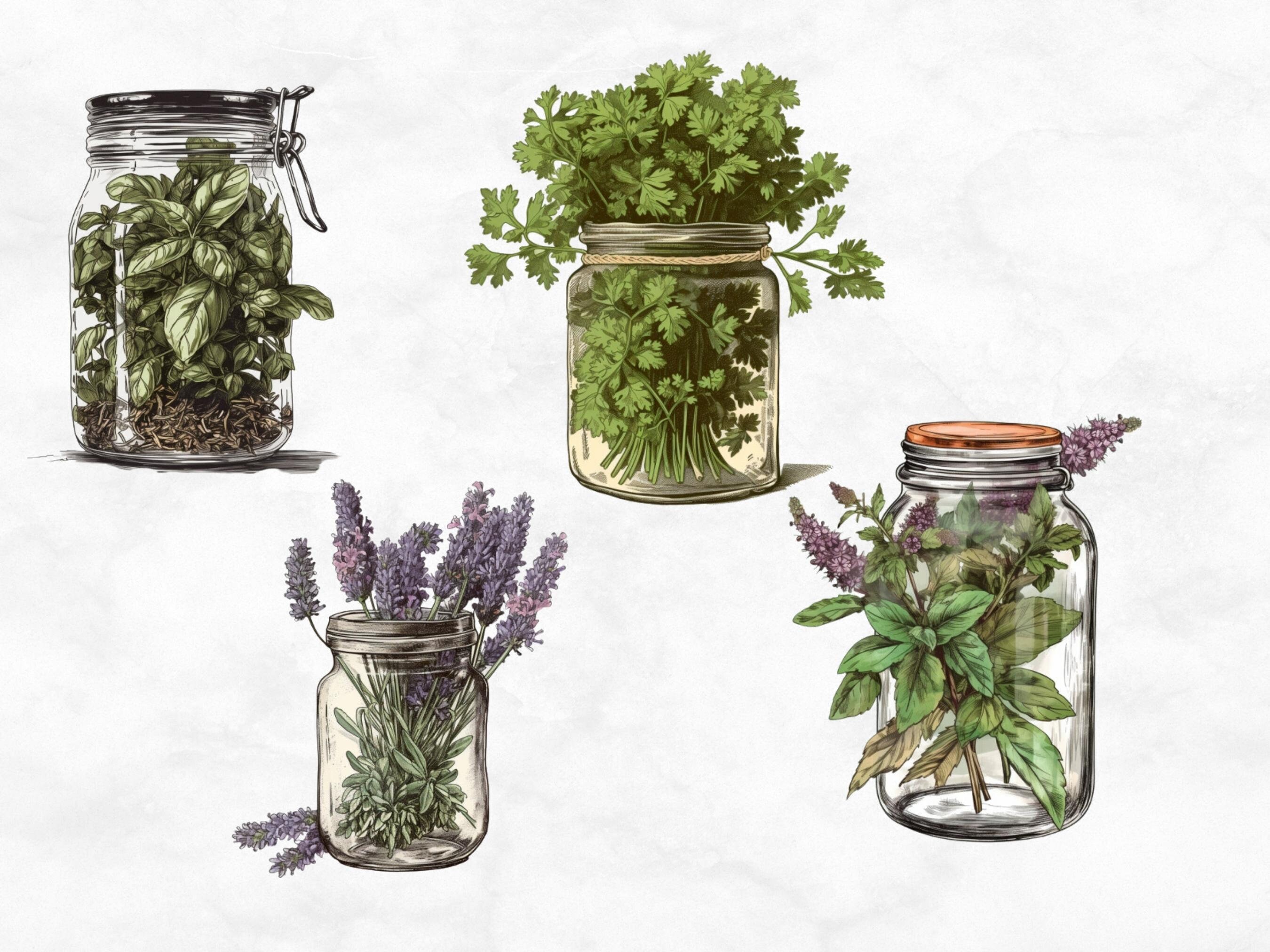 Aromatic Herbs Svg Bundle Greenery Clip Art Herbs Leaves, 46 OFF