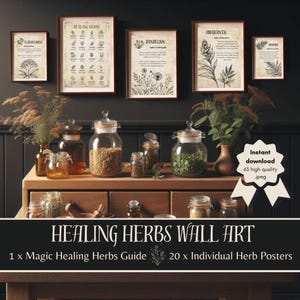 Heilkraut Digitales Poster Bündel | Wand Kunst Dekor | Hexerei Kräuterkunde Heilung | Sofort Download