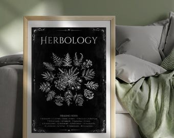 Lámina de Herbología: Pizarra con Hierbas Curativas de Brujería (Descarga Digital)